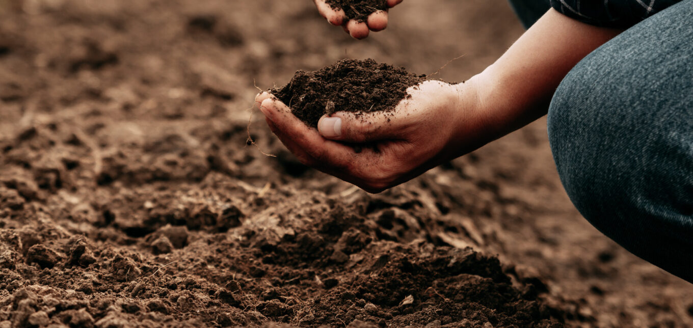 Why And How To Test Soil Quality – Mother Earth News - Vimarsana News